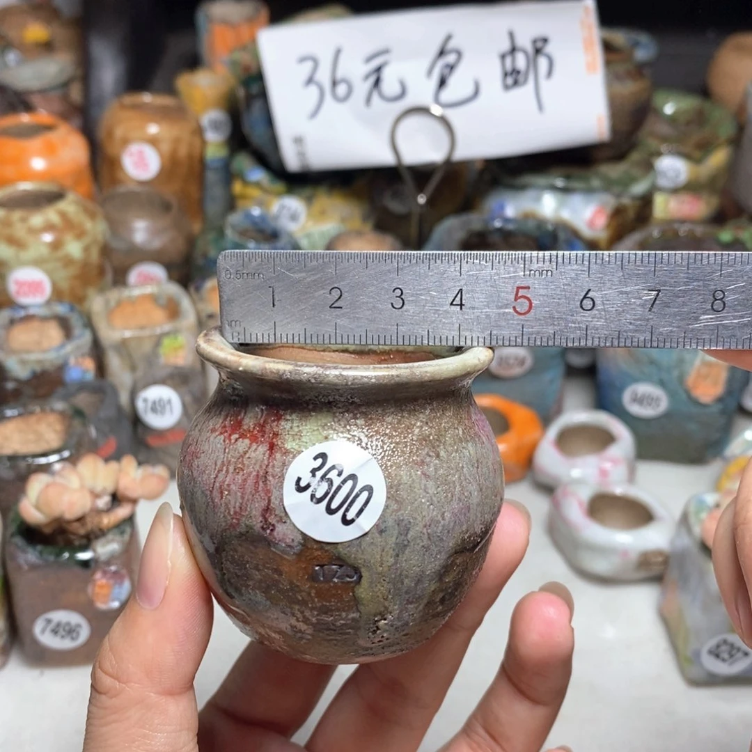 拍5送一个小礼物