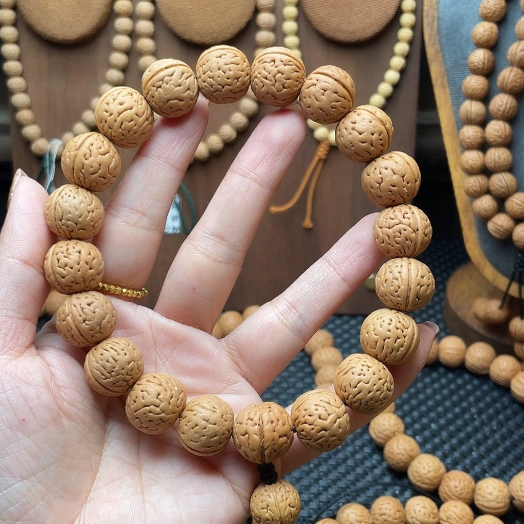 大***树15.7野生灯笼滴溜圆矮1