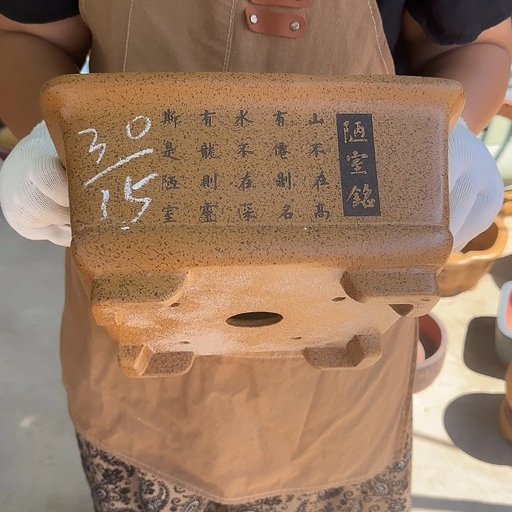 是一个充满生机盎然