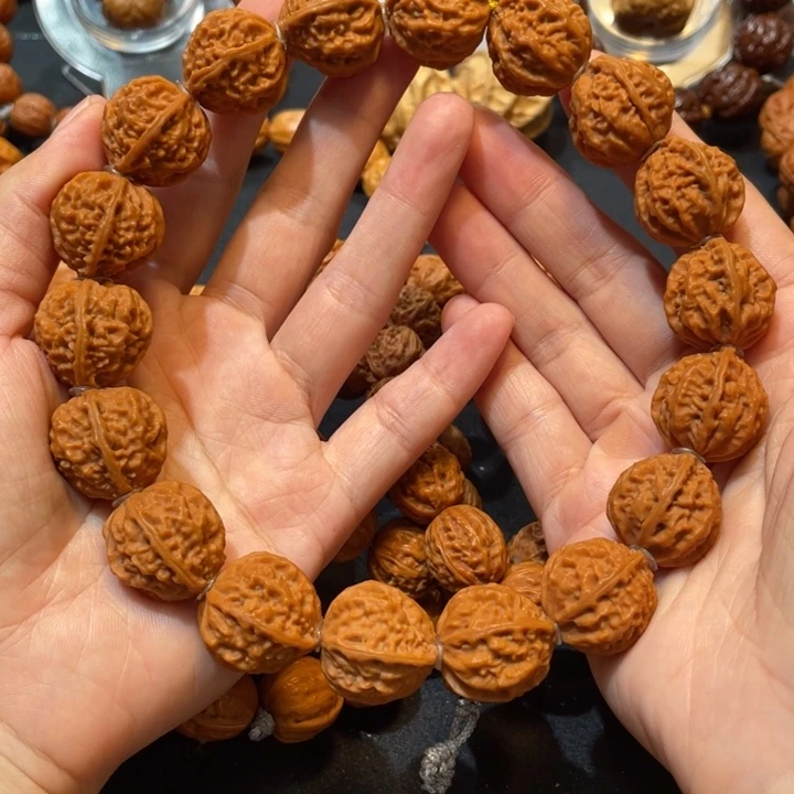 吊坠龙脊菩提金蝉手持