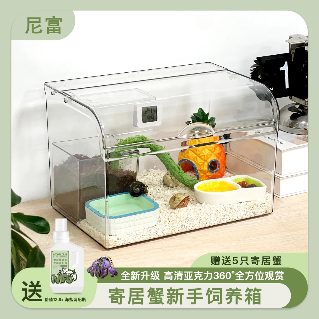 寄居蟹新手懒人套餐儿童礼物亚克力爬宠饲养箱办公室鱼缸造景大气