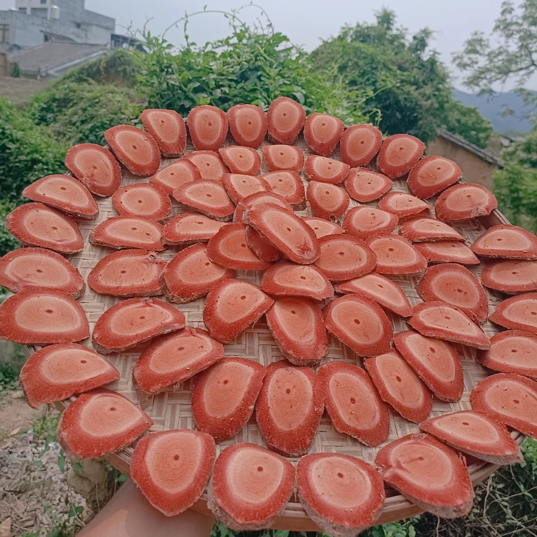 广西深山海枫藤干片