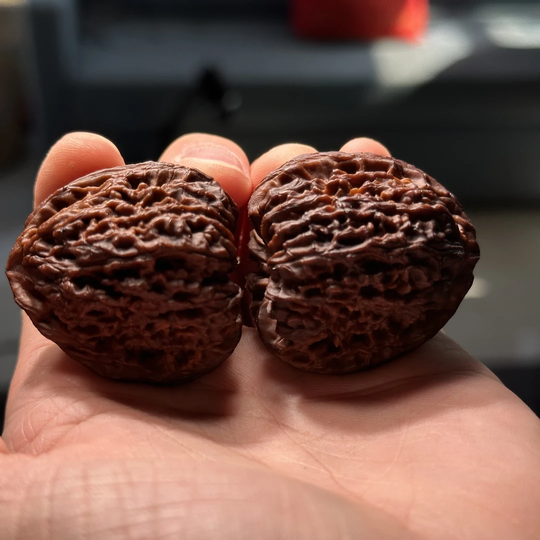 地闷南疆石 尺寸随机