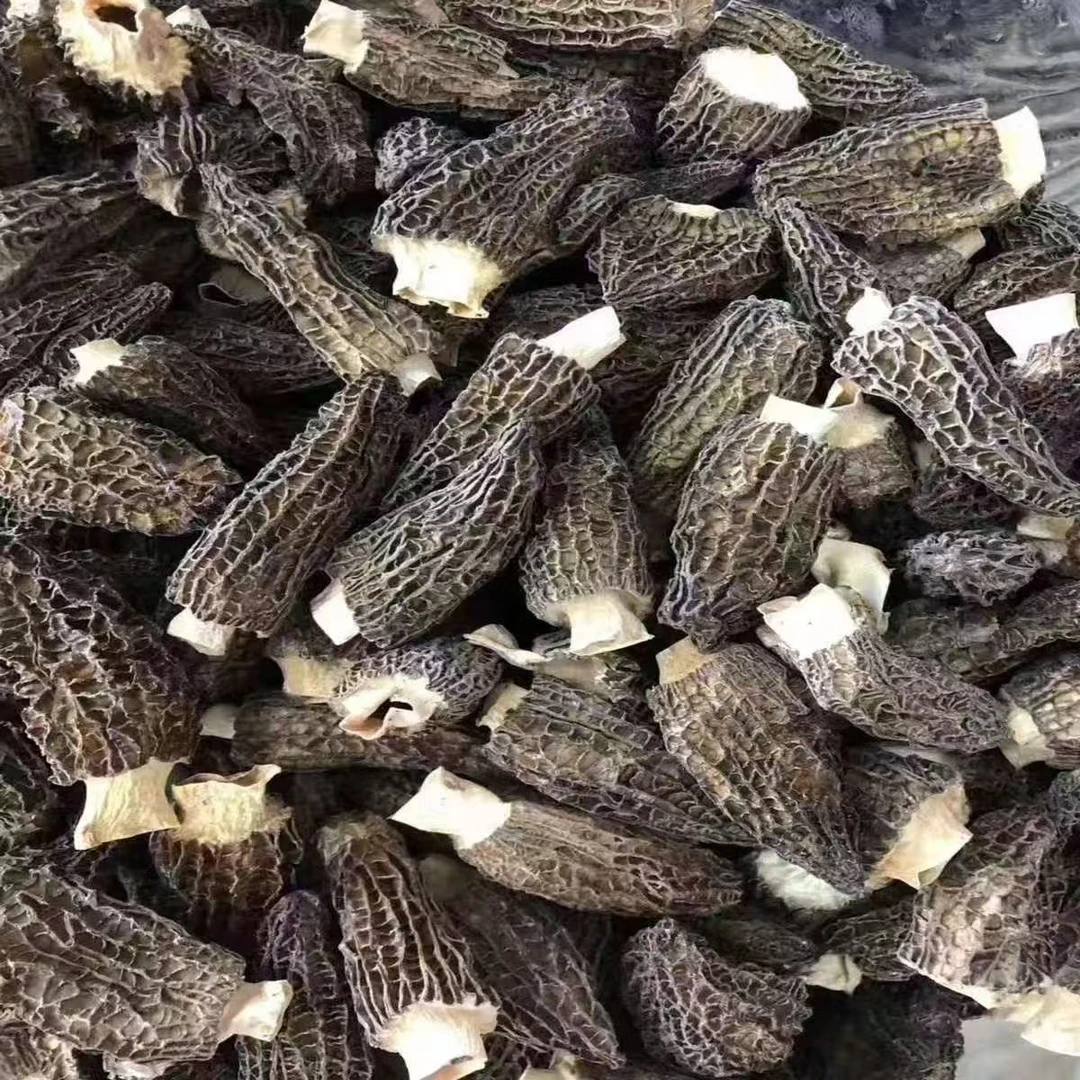 农家山货5-8 厘米干货羊肚菌新货煲汤农家无熏硫特产炖汤炒菜食材