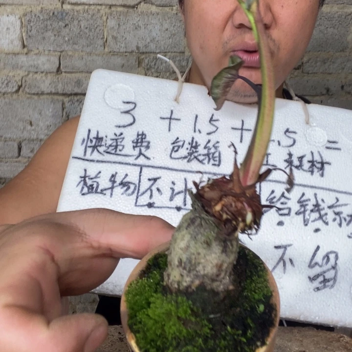 退款拉黑一物一拍312