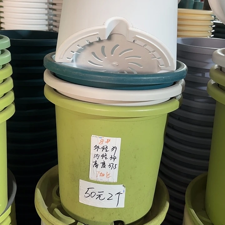 微瑕8#口径39无托果绿3个