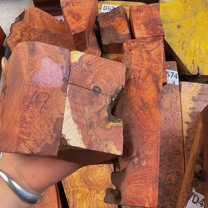 木狗**人小叶羊蹄甲留疤3个