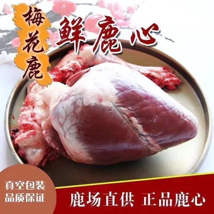 正宗梅花鹿特产新鲜鹿心整个公鹿心保鲜发货鹿场直发真空新鲜