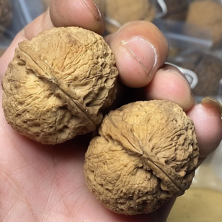 把件文玩核桃云南铁核桃70