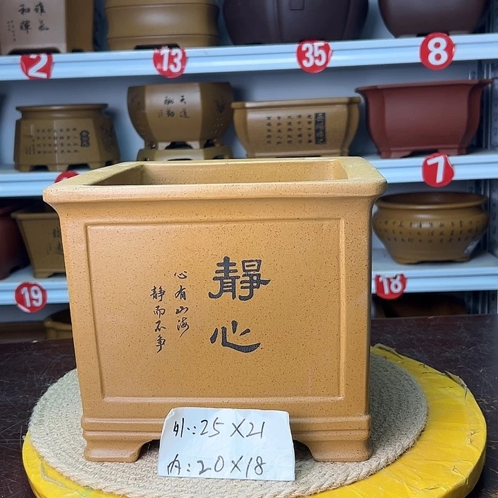 紫砂花盆你在一起