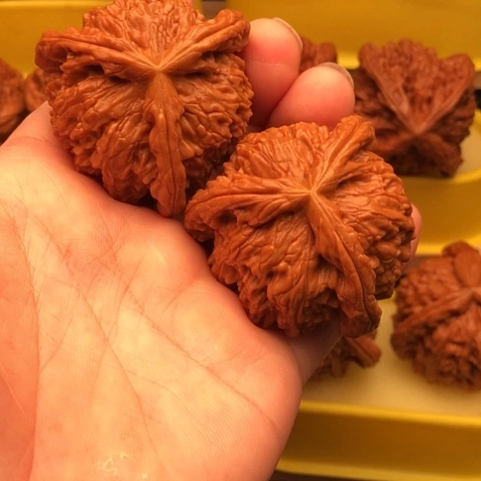 清***光核桃核桃核桃核桃核桃