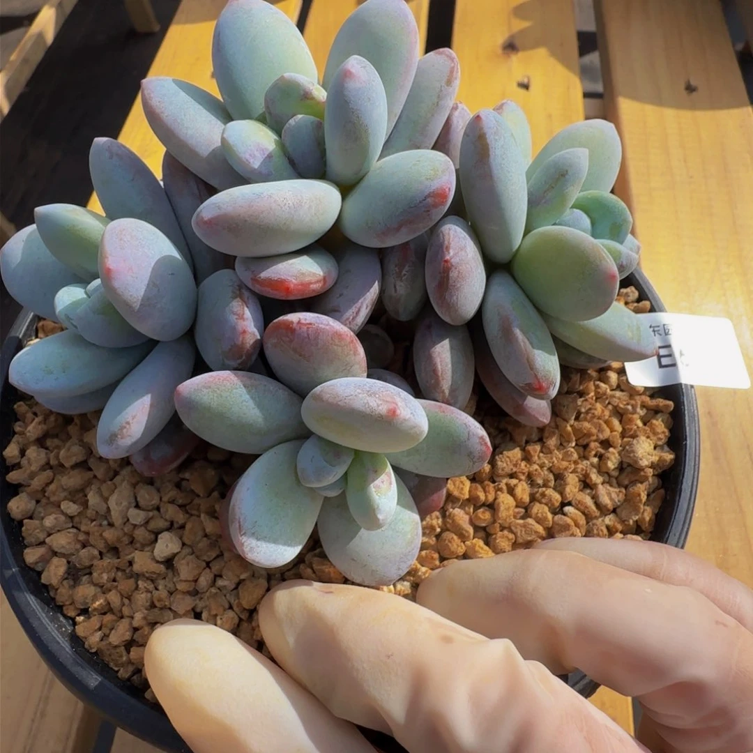 e e e e e e e e e 64