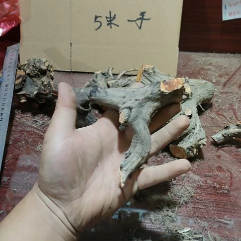 落***叶核桃木/黑胡桃（胡桃木）