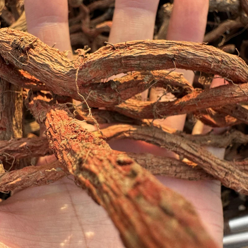 沂蒙山特产丹参干大条 十颗丹参出一根大条的精选丹参500克/包