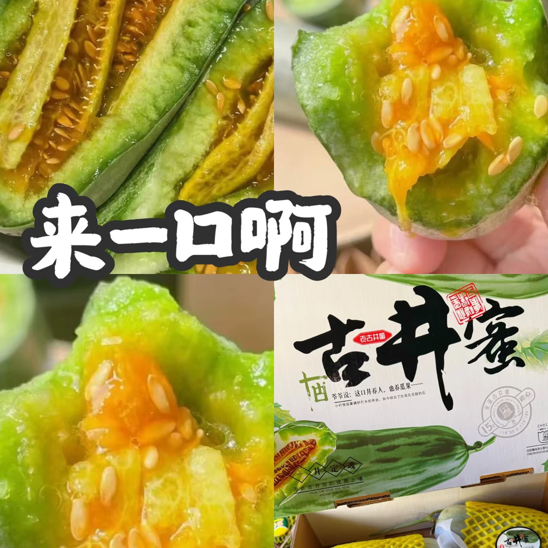 【V嘉精选】古井蜜瓜