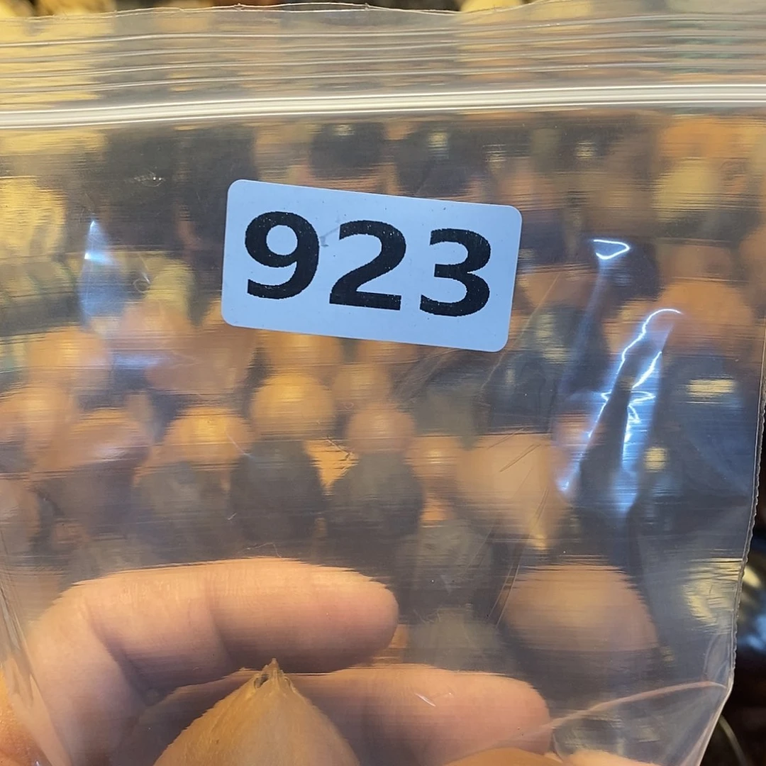 吊坠橄榄核?**t文化交流