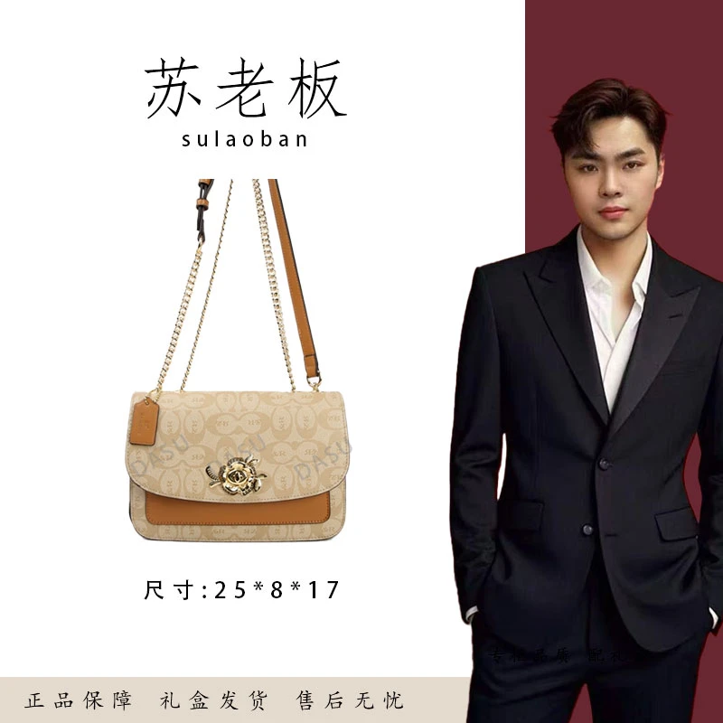 【苏总专属】BF-66570-焦糖色女士时尚潮流气质小众腋下包斜挎包