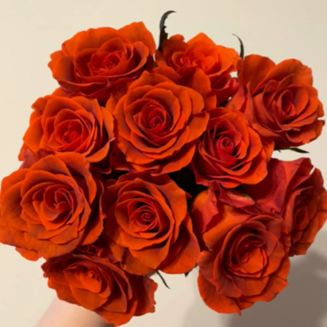 【杏仁酒】基地直发～