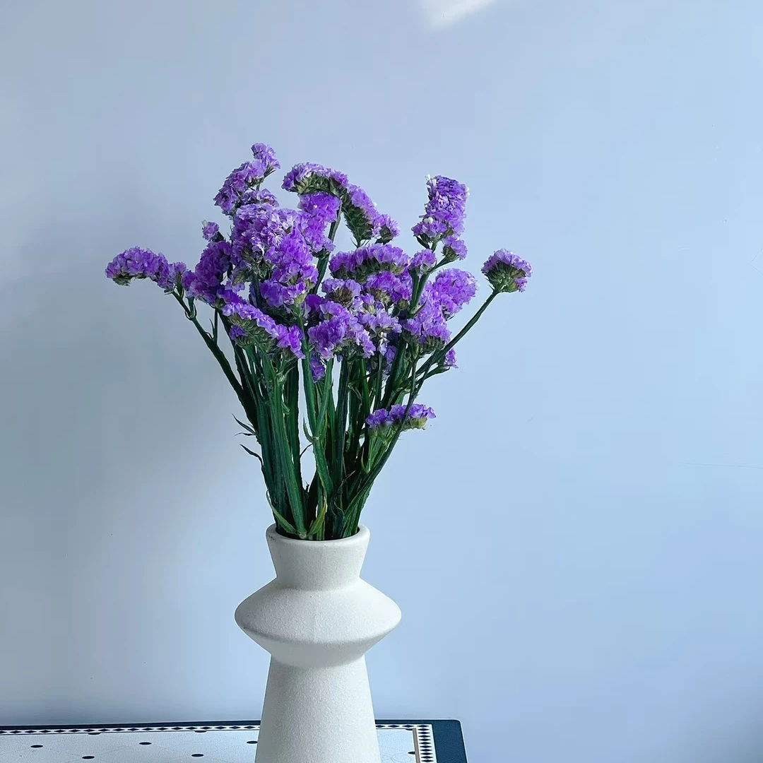 京东顺丰包邮）A级半斤勿忘我紫色/同品质买贵包退，