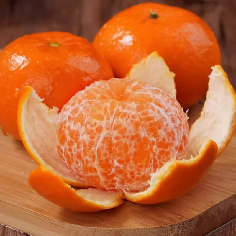 广西·沃柑当日现采园区直发广西武鸣沃柑