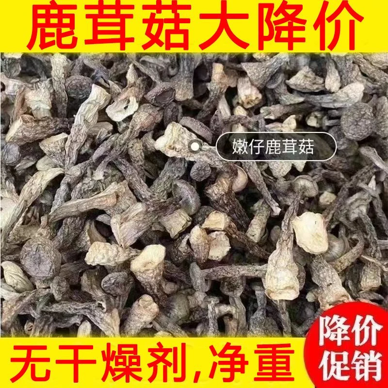 净重嫩仔鹿茸菇干货鹿茸菌鹿耳菇批发农家特产蛹虫草煲汤食材炒菜