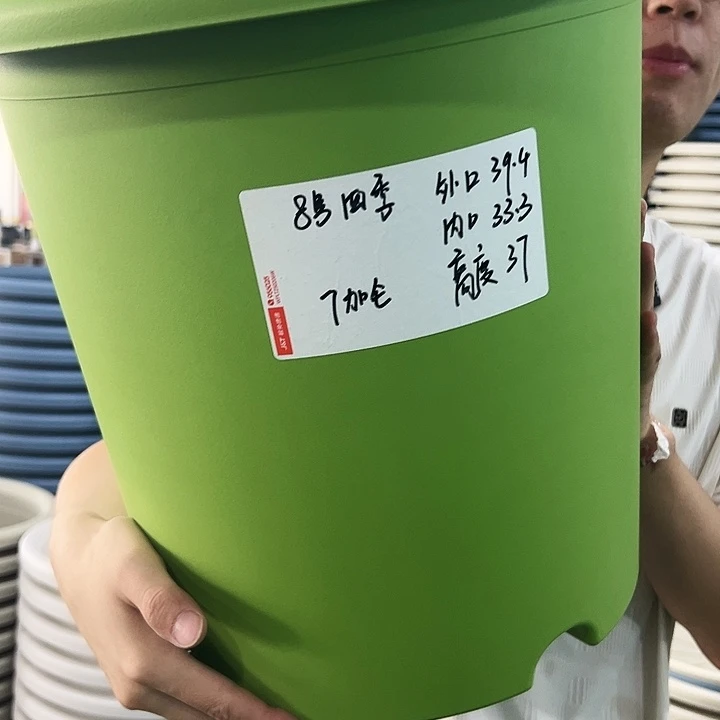 特价8号四季口39.4高37果绿带托3只