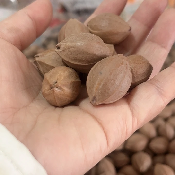 橄榄核手串/手链在****们，20.✖️28