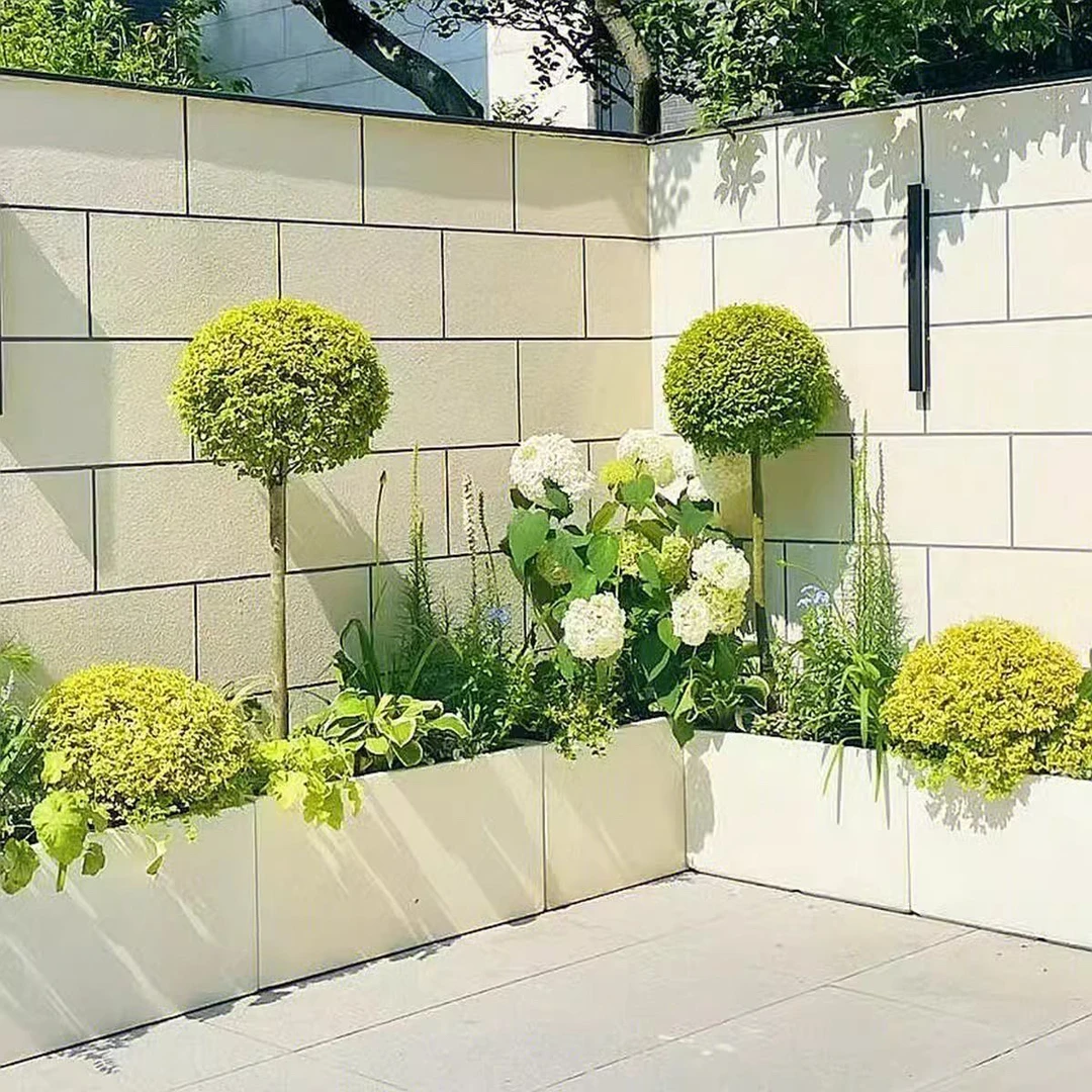 50-500（直播间补价链接）花园庭院花境植物组合花池花箱佛手盆栽