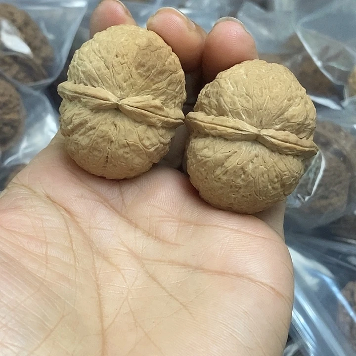 木质类云南铁核桃基地9