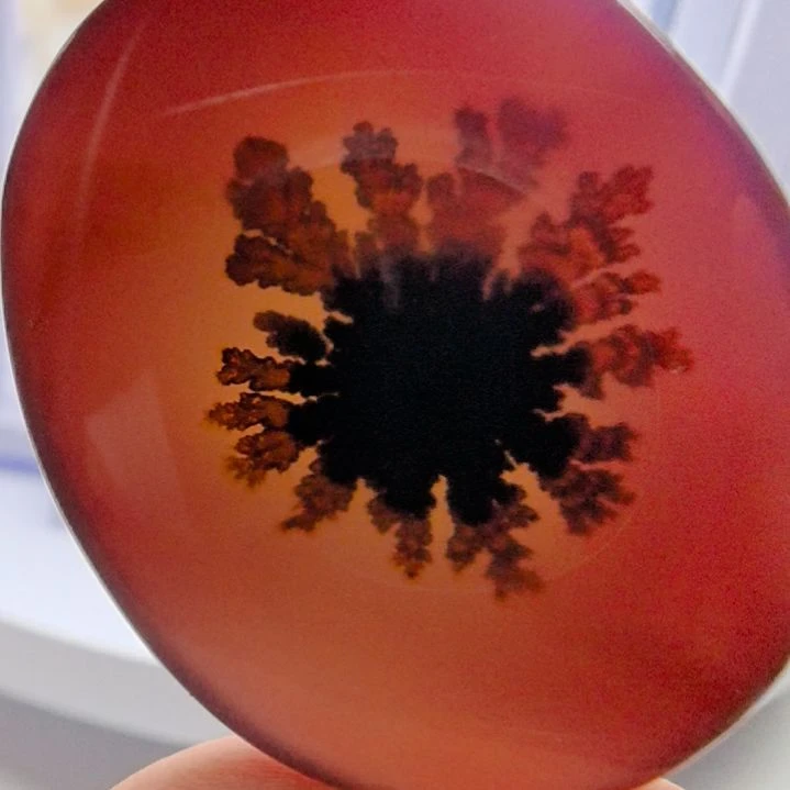 非金属时尚饰品55