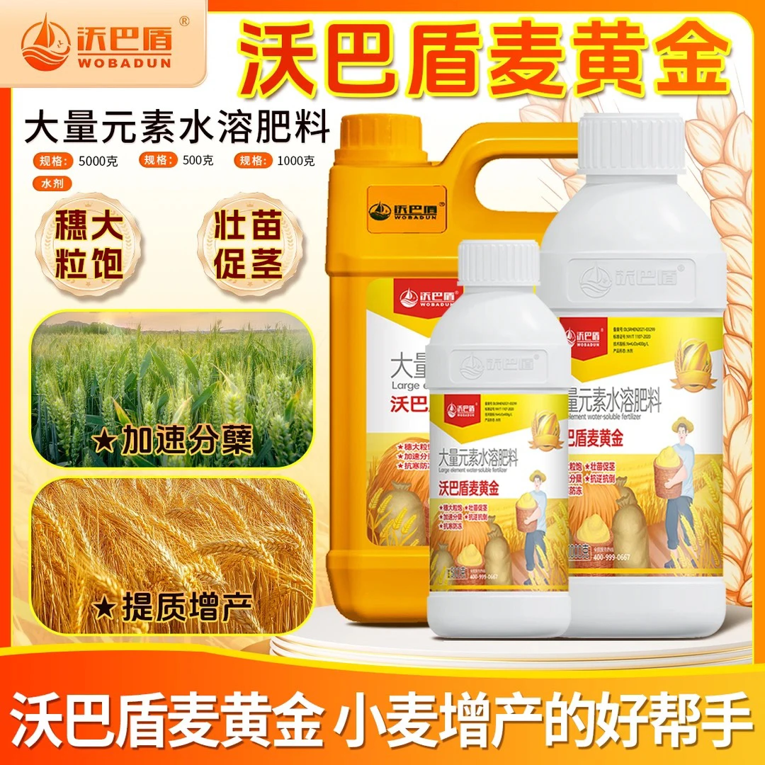 沃巴盾麦黄金促茎抗逆抗倒伏穗大粒饱抗寒防冻壮苗水溶肥料