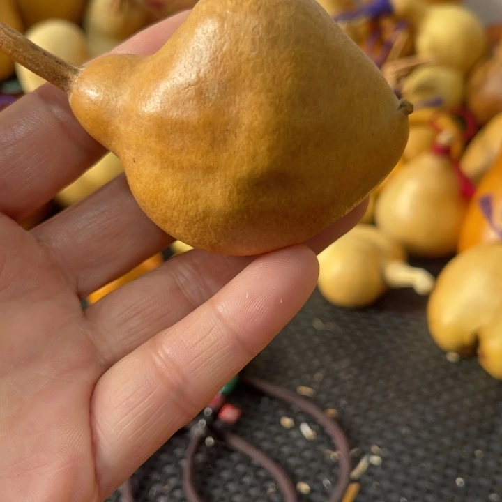 青***悔葫芦哈哈哈哈哈哈