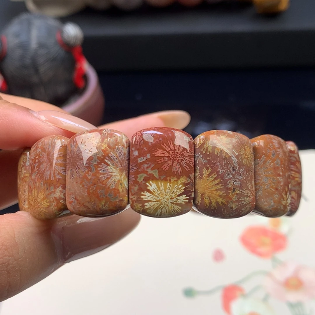 【闪购商品】颈饰未镶嵌硅化珊瑚（珊瑚玉）10号