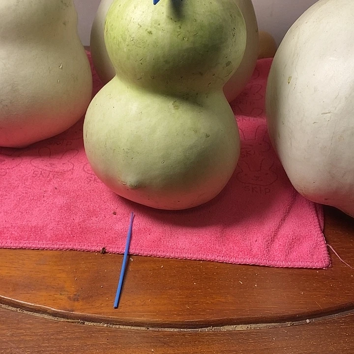 语***馨青皮中号财包葫芦摆件