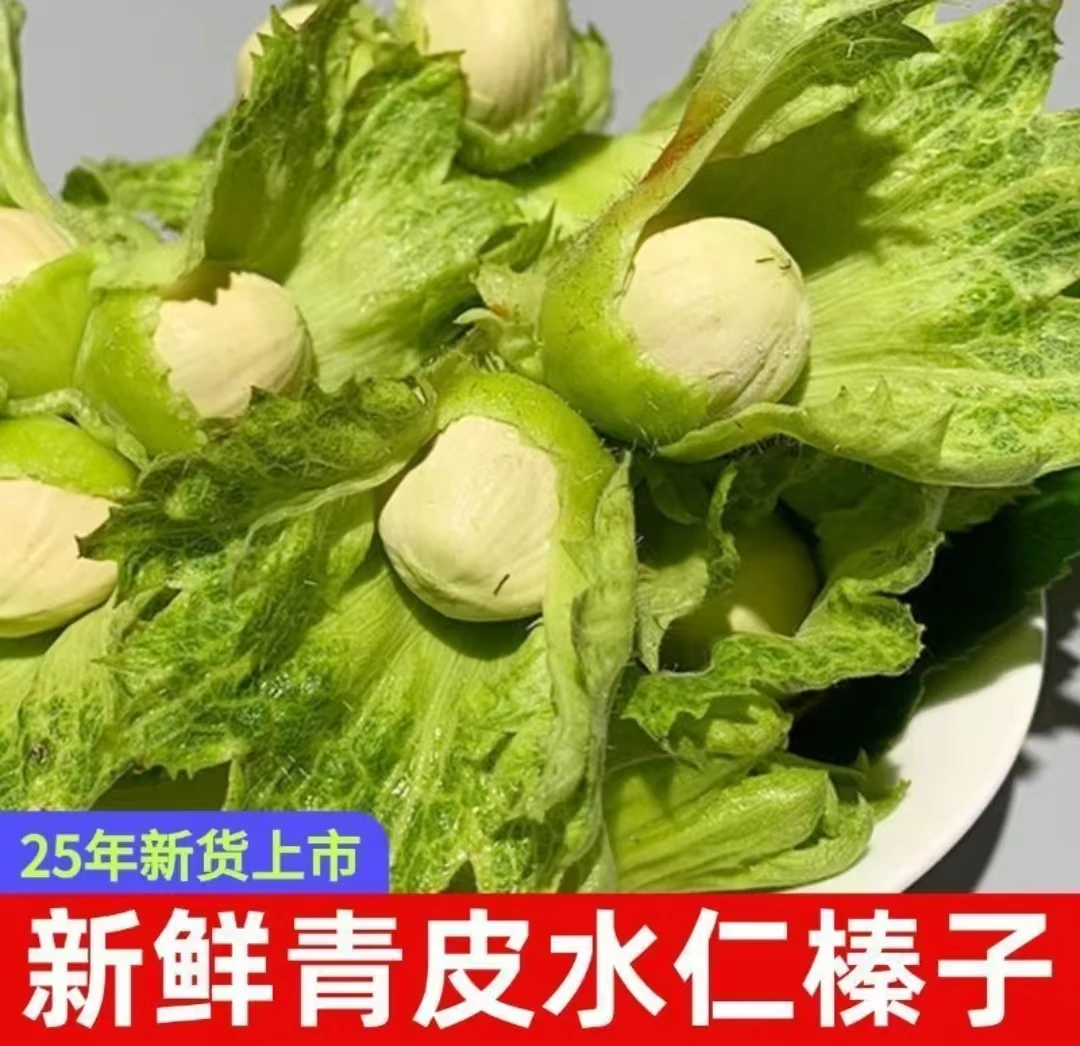 绿皮鲜榛子  （新疆西藏不发货）5斤带绿叶发货