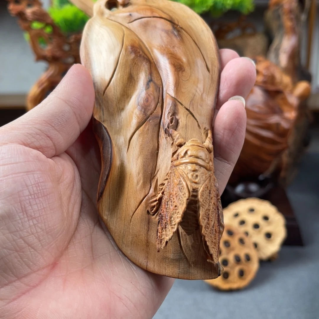 柏木（崖柏）58885555555