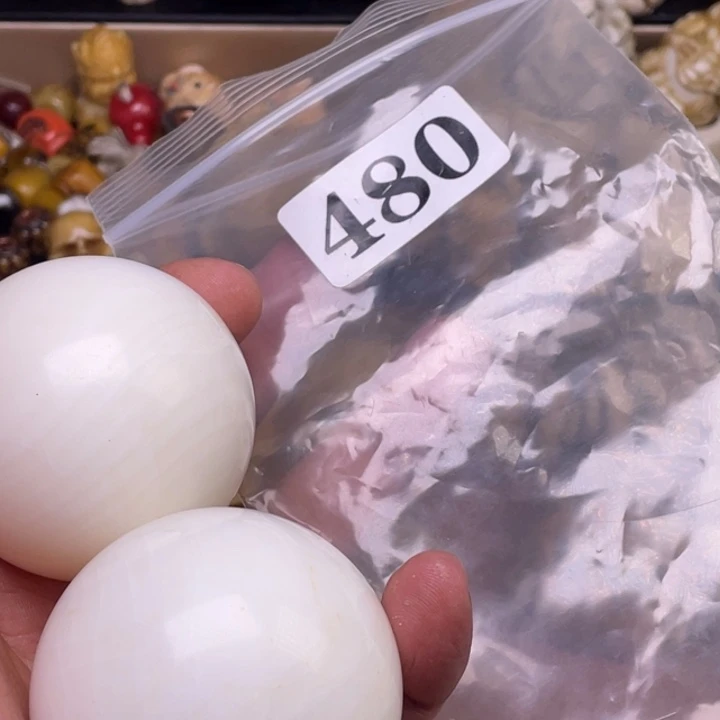 驼骨摆件人工养殖