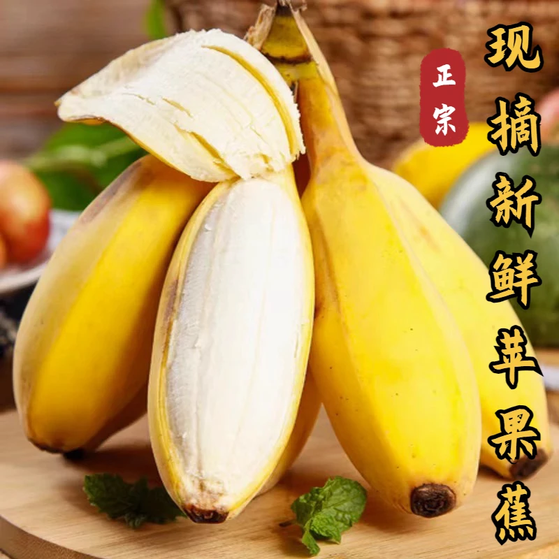 自然熟5斤正宗广西苹果蕉新鲜应季水果香蕉软糯香甜坏果包赔包邮
