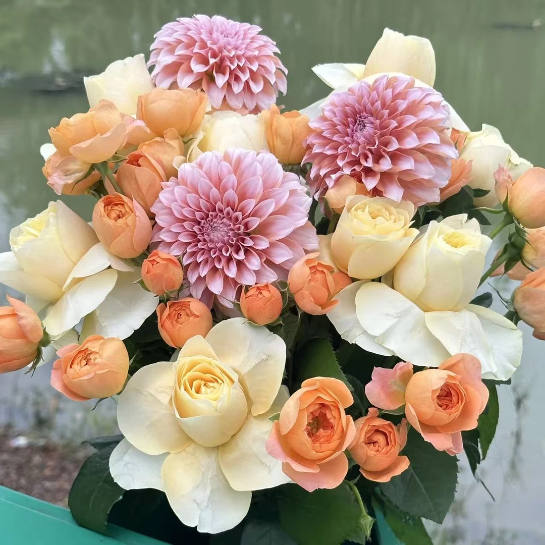 【次日达·奶油甜心】鲜花套餐家居生活鲜花·全场任意两单顺丰送货上门·今天拍明天到·基地直发现采现发售后无忧