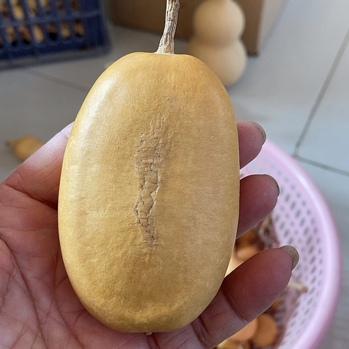 fuj g g g jkm n h jo