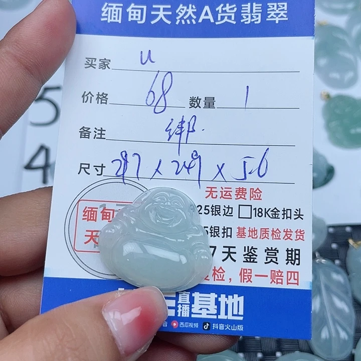 翡翠未镶嵌颈饰u***u纯天然缅甸a货翡翠