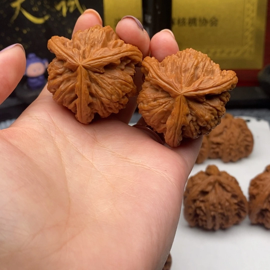 格*白狮子11111111