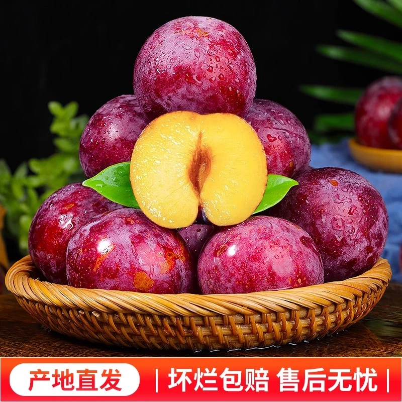 黄心红布林应当季现摘黑布林恐龙蛋整箱