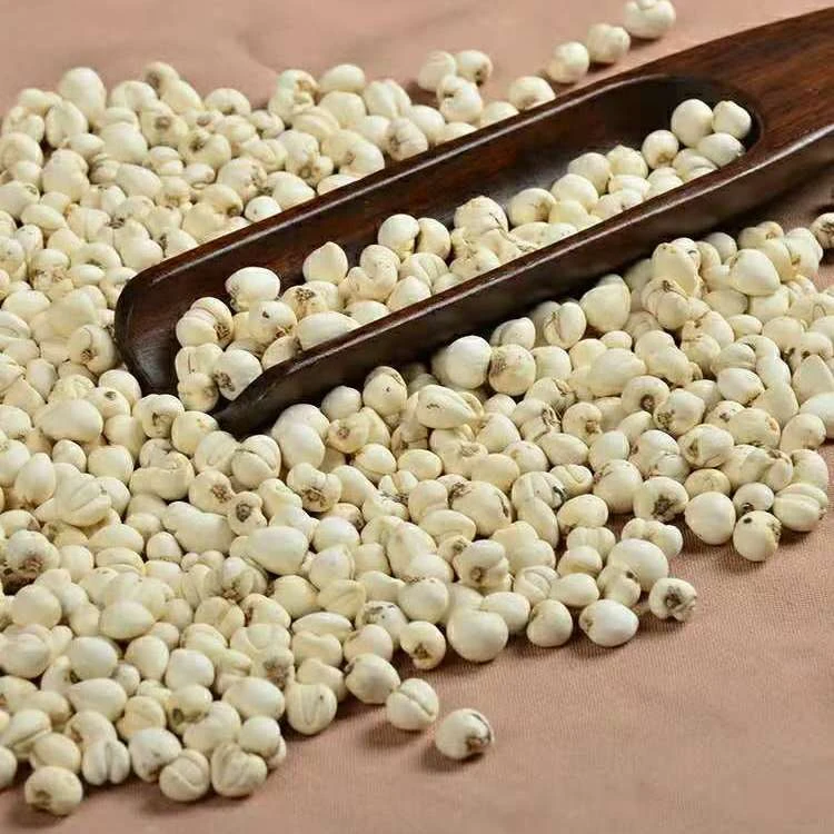 w农家高山贝.母50g