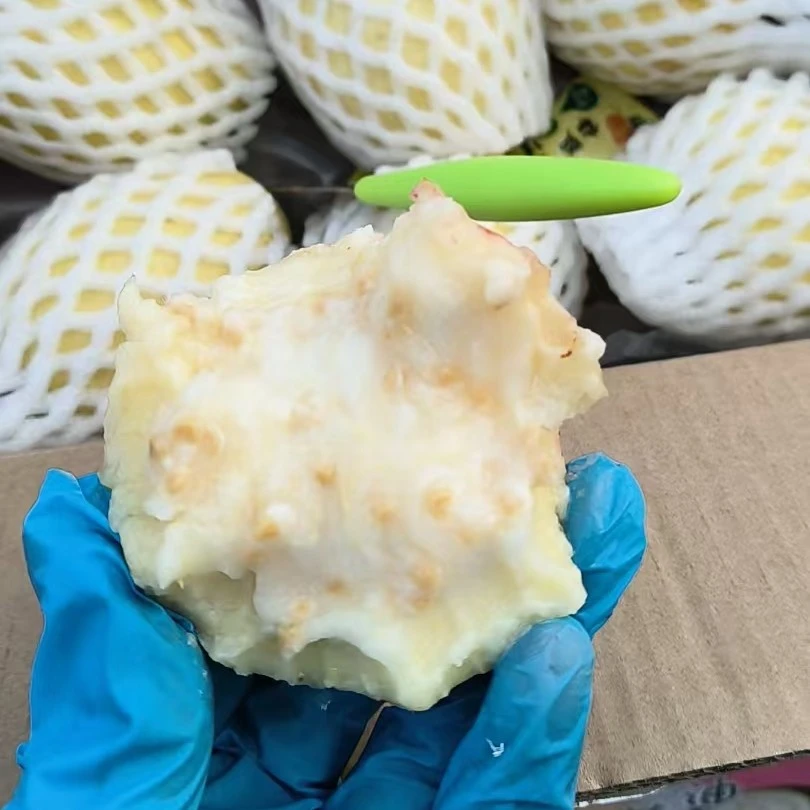 【大新水果甄选】树熟奶油芭乐一箱（3斤左右）