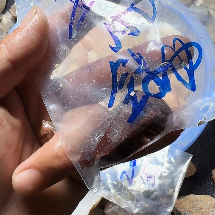 水晶未镶嵌水晶R****瑞水晶