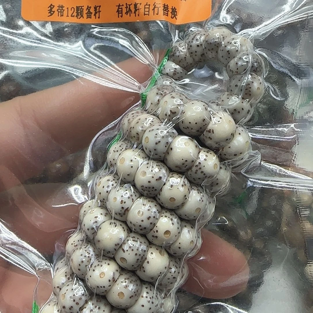 星月菩提手串73殿堂卡姿兰大眼睛星月菩提8-108蒜瓣大肠