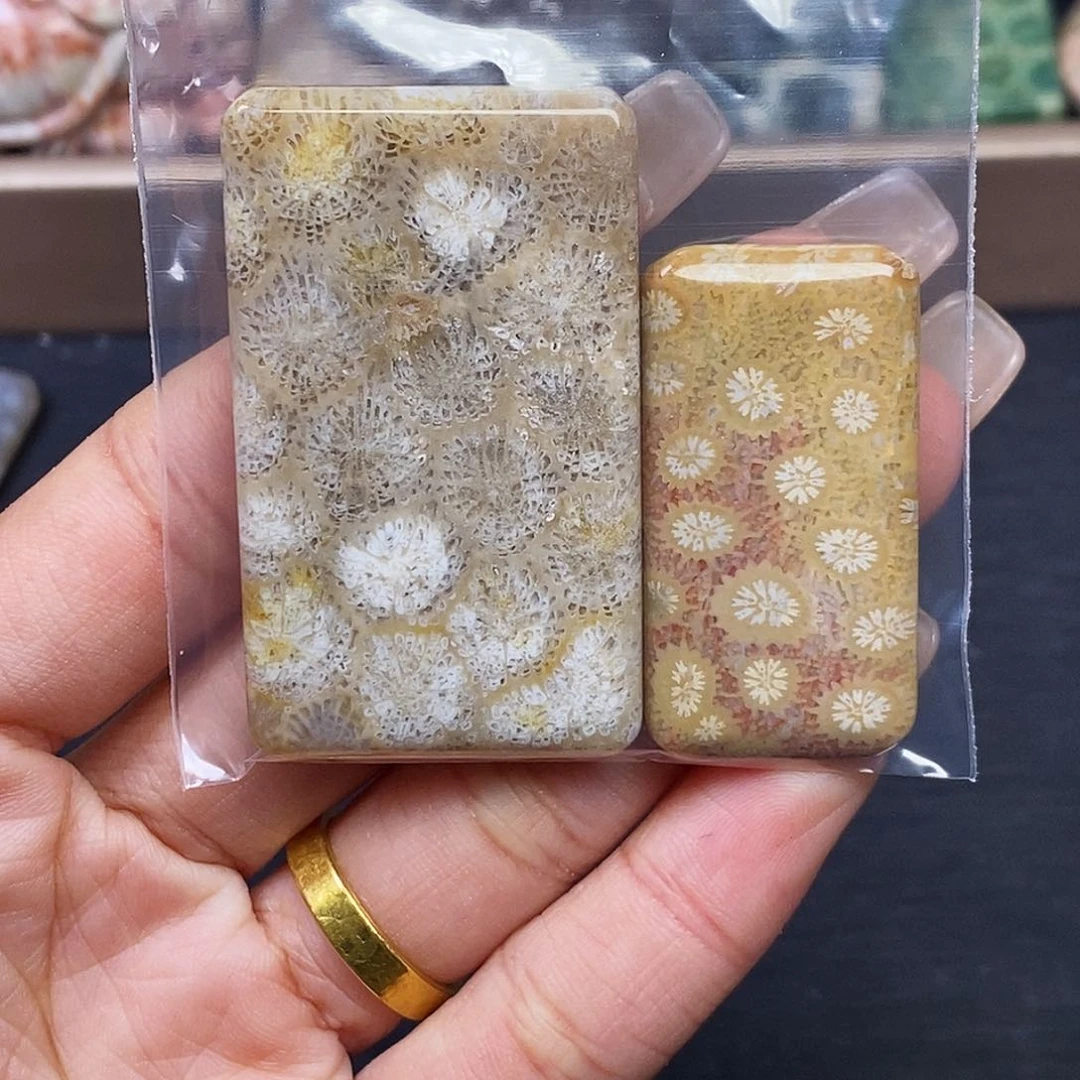 硅化玉颈饰合金蘑****吃