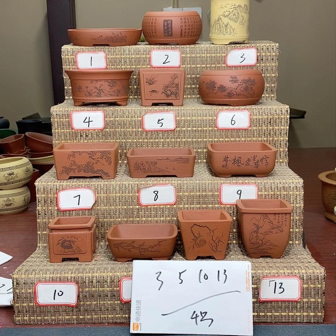 紫砂花盆无**我我在等他