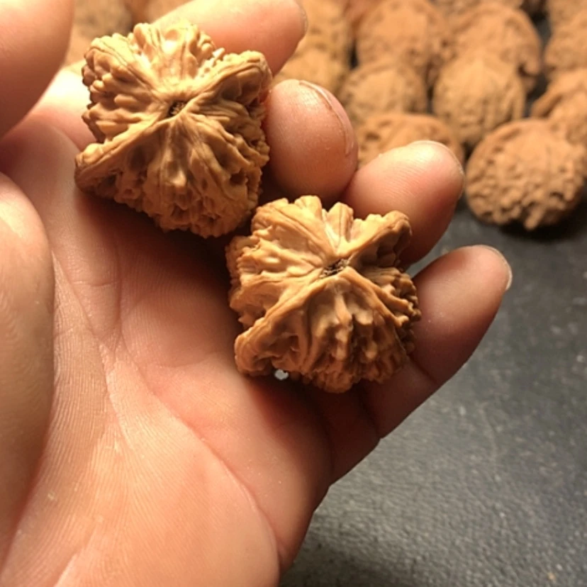 【闪购商品】安****修虎头